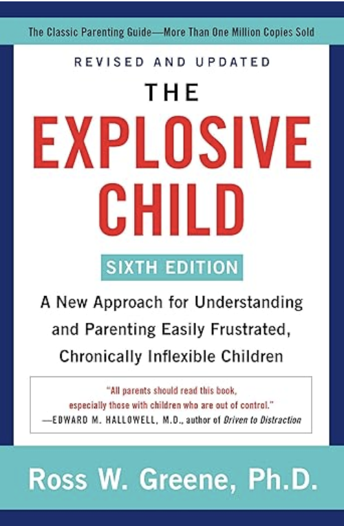 Little Turtle Book for helping with child emotion